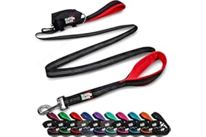 Black Rhino 6 ft Long Heavy Duty Dog Leash with Traffic Handle for Medium and Large Dogs - with Padded Neoprene Dual Handles, Bag and Clip - Reflective, Durable, and Weather Resistant - Red