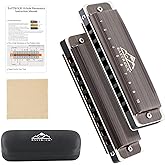 EastRock 10 Hole Blues Harmonica C Key Brushed Metal with Case for Beginner | Diatonic Mouth Organ Phosphor Bronze Reeds and Metal Cover Plate for Professional Students Adult Friends Gift