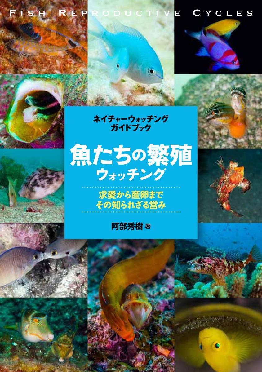 魚たちの繁殖 ウォッチング: 求愛から産卵まで、その知られざる営み 