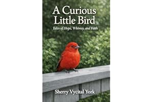 A Curious Little Bird : Tales of Hope, Whimsy, and Faith