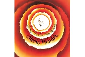 Songs In The Key Of Life (Vinyl)