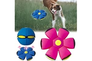BADWALT FlidRunest 2PCS Pet Toy Flying Saucer Ball, Flying Saucer Balls Dog Toy, Doggy Disc Balls with 3 Light for Interactive Dog,Cats, Children's Foot Ball,Outdoor Games,Camping Games