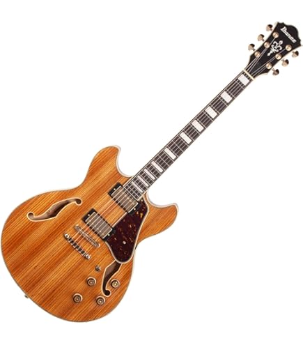 ギター Ibanez AM93ME NT Artcore Expressionist Amazon.com: Ibanez Artcore Expressionist AM93ME Semi-Hollow