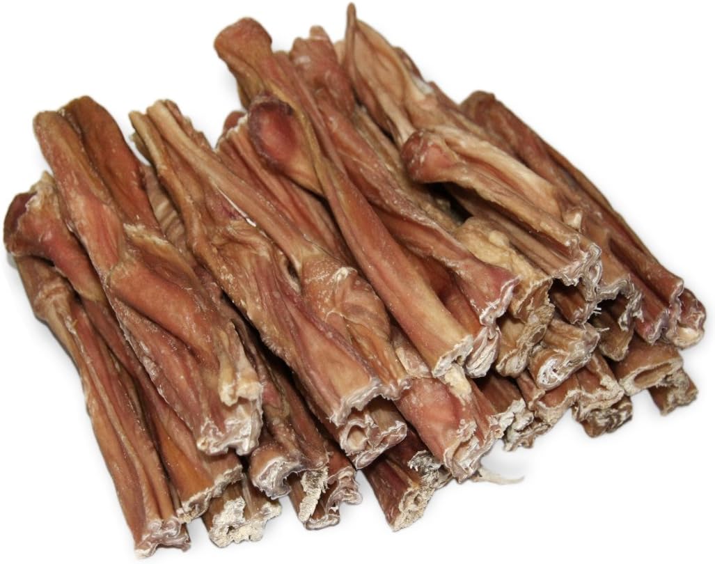 hairless siamese cat price