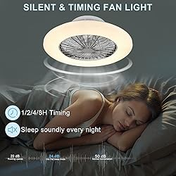 DLLT Ceiling Fan with Led Lights, 20'' Modern