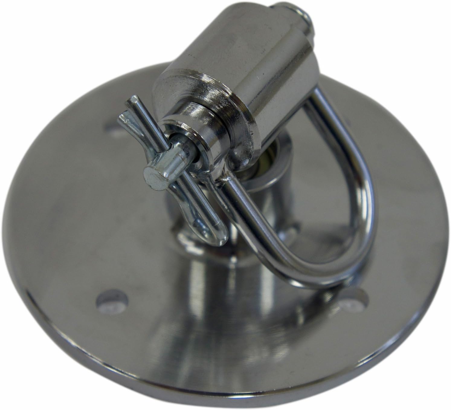 Everlast Professional Speedbag Swivel (.4 Pack(1 Unit))