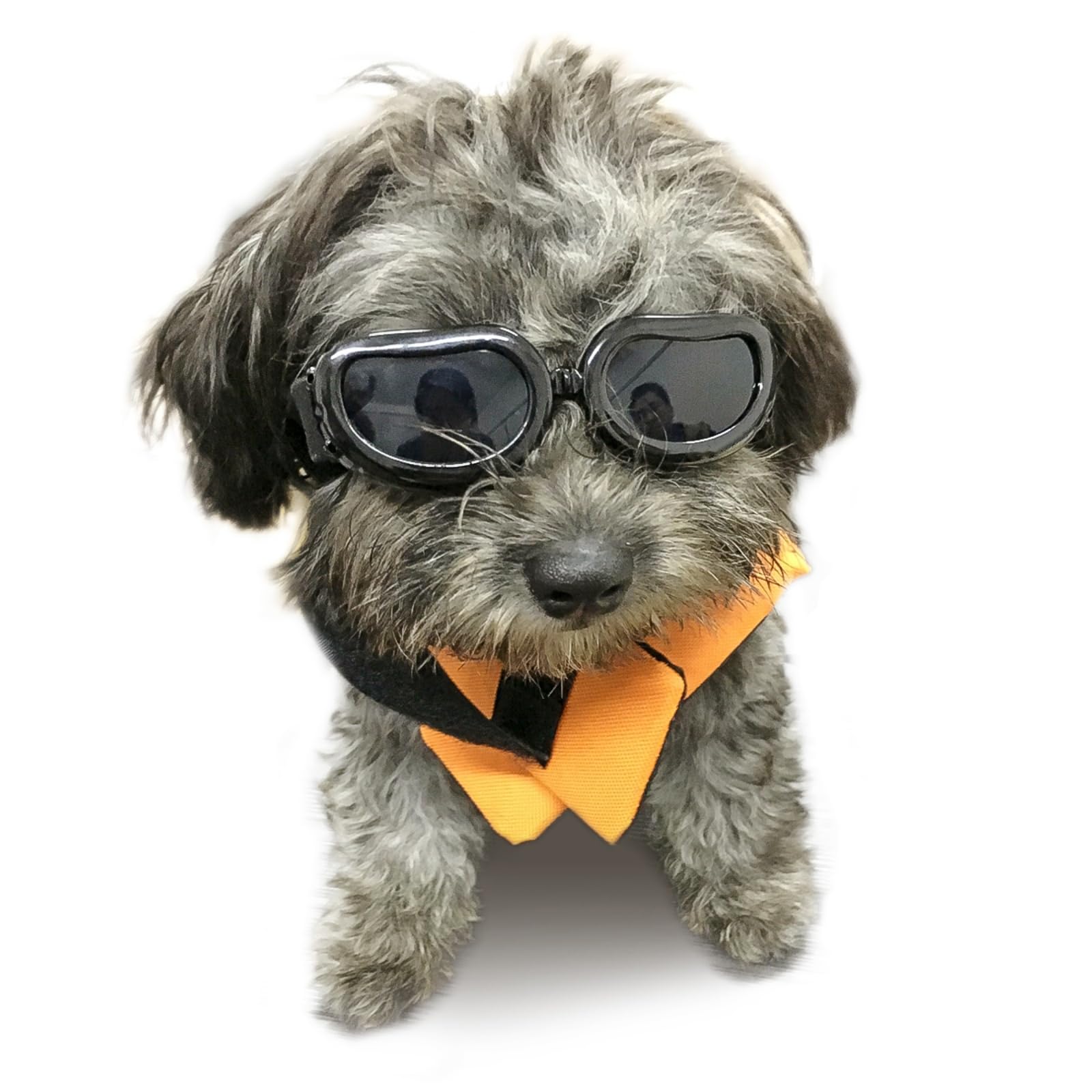 Enjoying Dog Goggles for Small Dogs, UV Protection Small Dog Sunglasses, Outdoor Doggies Eye Protection, Windproof Dustproof, Adjustable Head & Chin Straps, Black