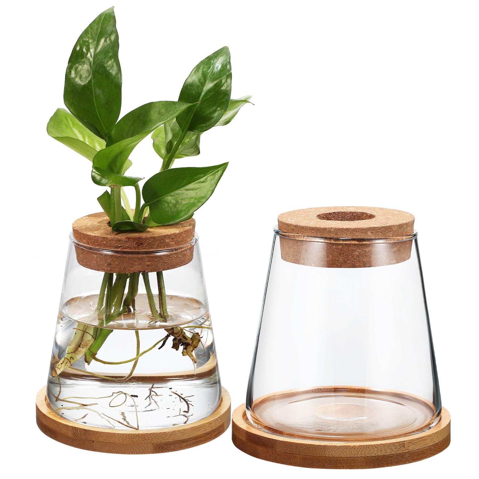 Happyyami Hydroponic Glass Plant Propagation Station with Stable Base Clear Water Planters for Indoor Decoration and Goldfish Tank Use Set of 2