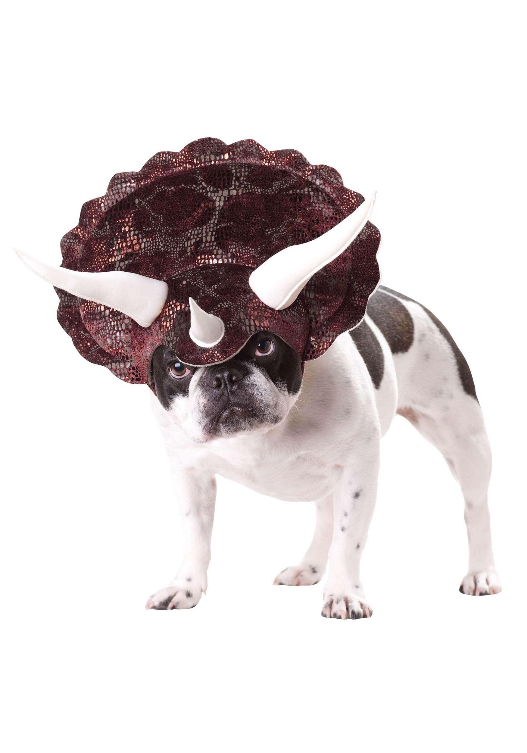 Photo 1 of CALIFORNIA COSTUME COLLECTIONS Pet TRICERADOG Dog Costumes, Burgundy, S Neck 12 -14 Girth 16 -20 Back US