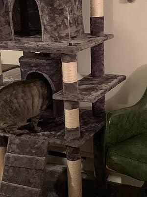 mud bay cat tree