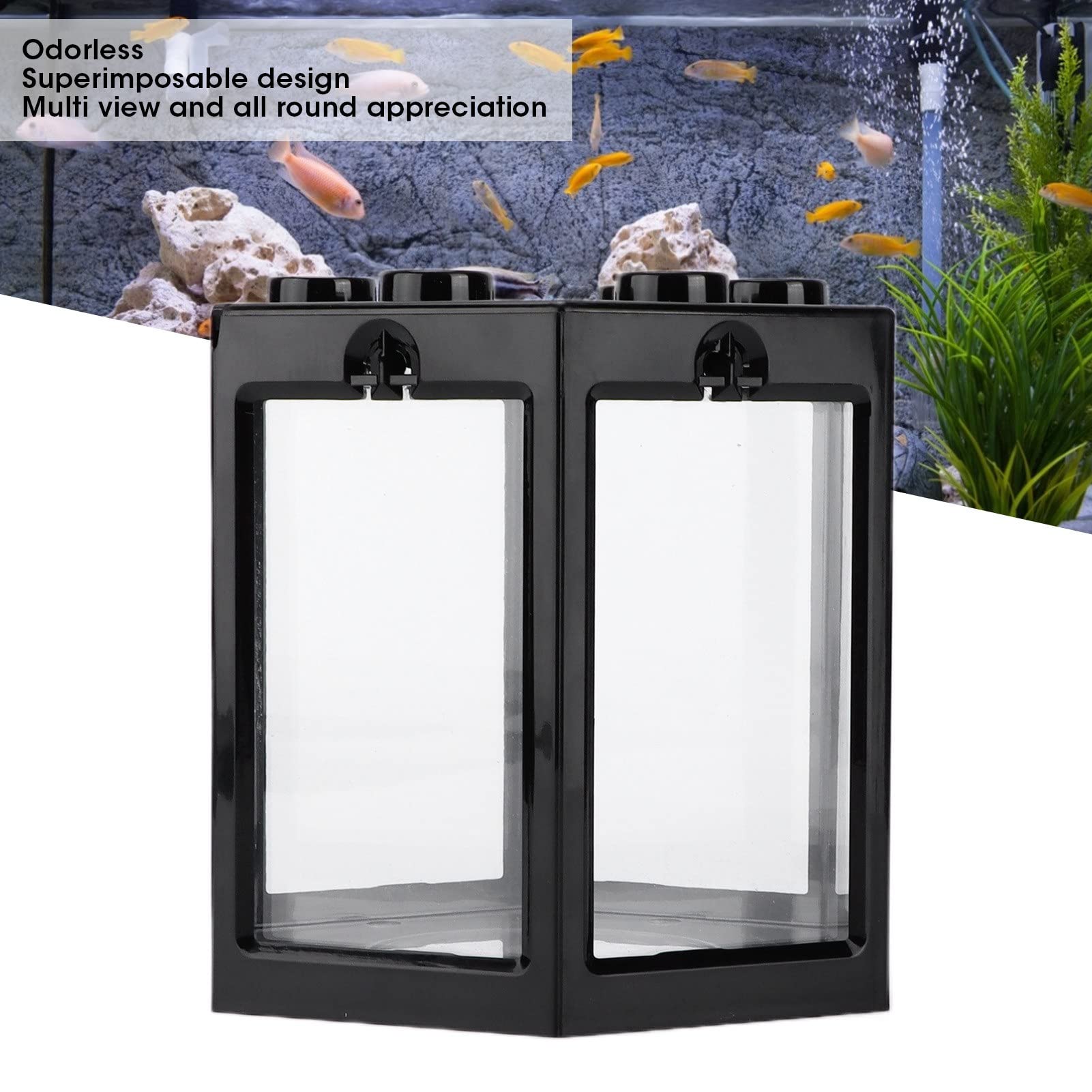 View 3