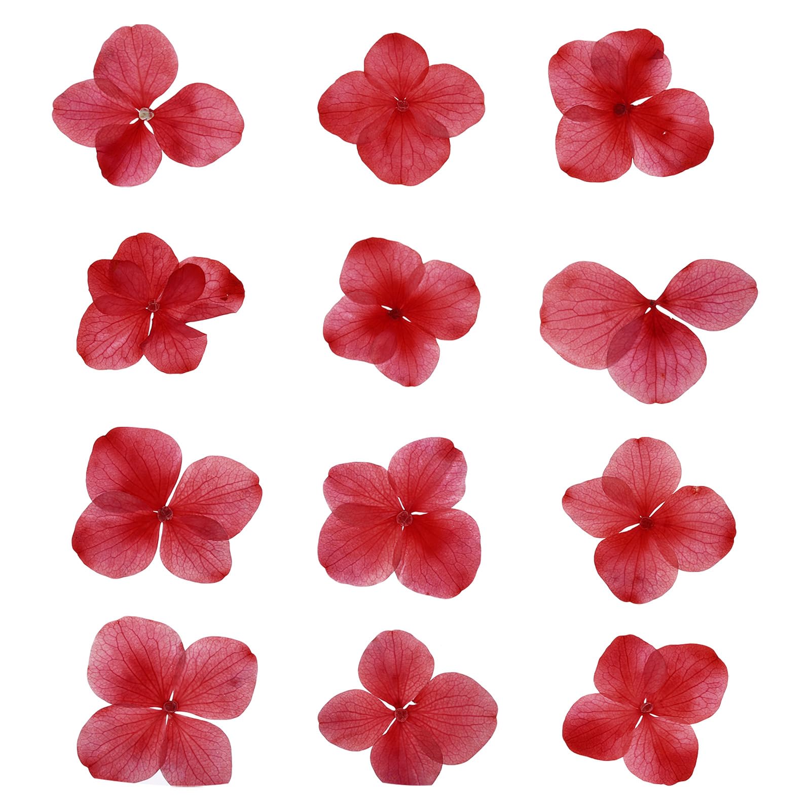 PATIKIL Dried Pressed Flower, 48 Pcs for Resin DIY Crafts Nail Art Cards Scrapbooking Jewelry Making Floral Decor Candle Decors, Red