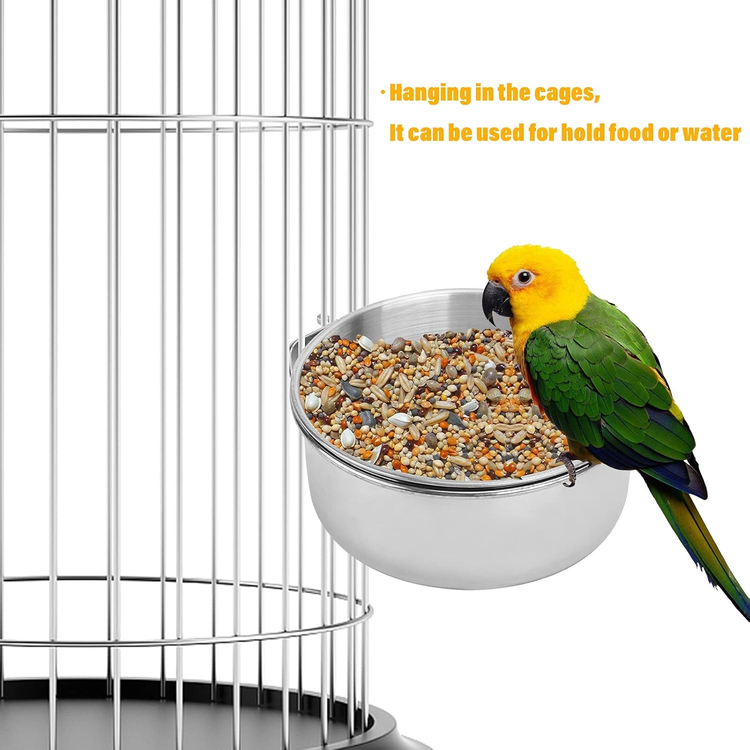 parrot feeding dishes