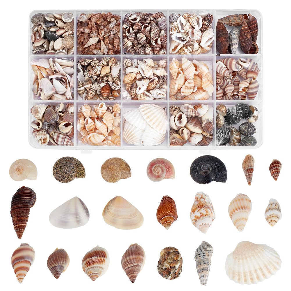PH PandaHall 466pcs 15 Styles Tiny Sea Shells Mini Spiral Shell Beads Resin Accessories Miniature Ocean Seashells for Resin Art Candle Making Fish Tank Vase Filler Home Dector Crafts, 5~22mm No Hole