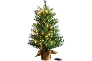 ZEARNA Pre-lit Artificial Mini Christmas Tree, 2ft Tipped Pine Artificial Christmas Tree, Includes 50 Led Warm Lights, Seasonal Indoor Home Decor with Decorative Burlap Base