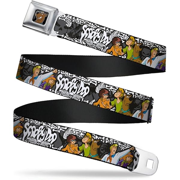 Amazon.com: Nickelodeon unisex adult Buckle-down Seatbelt Ninja