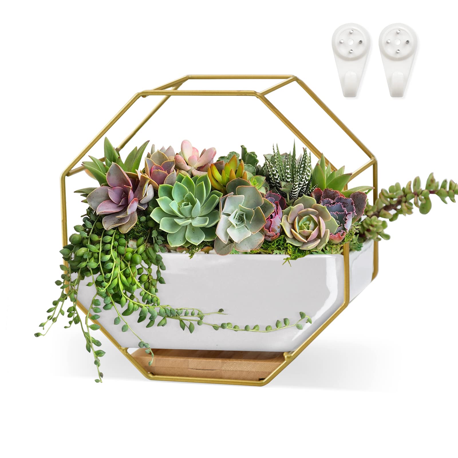Photo 1 of ***BOXED DAMAGED****

ChiRee Succulent Planters 7×3.5 Inch Decorative Ceramic Flower Plant Pots with Metal Holder Hanging and Place Dual-Purpose Garden Planter Pot with Drainage and Saucer for Indoor Home Office Desktop