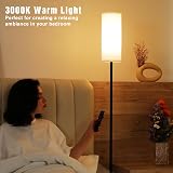 Aooshine 64 inch Floor Lamp with Remote Dimmable Color Temperature view 7