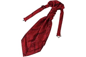 Epoint Cravat Necktie For Party Silk Pretied Ascot Cravat Tie 12 Inch Clip-On Adjustable
