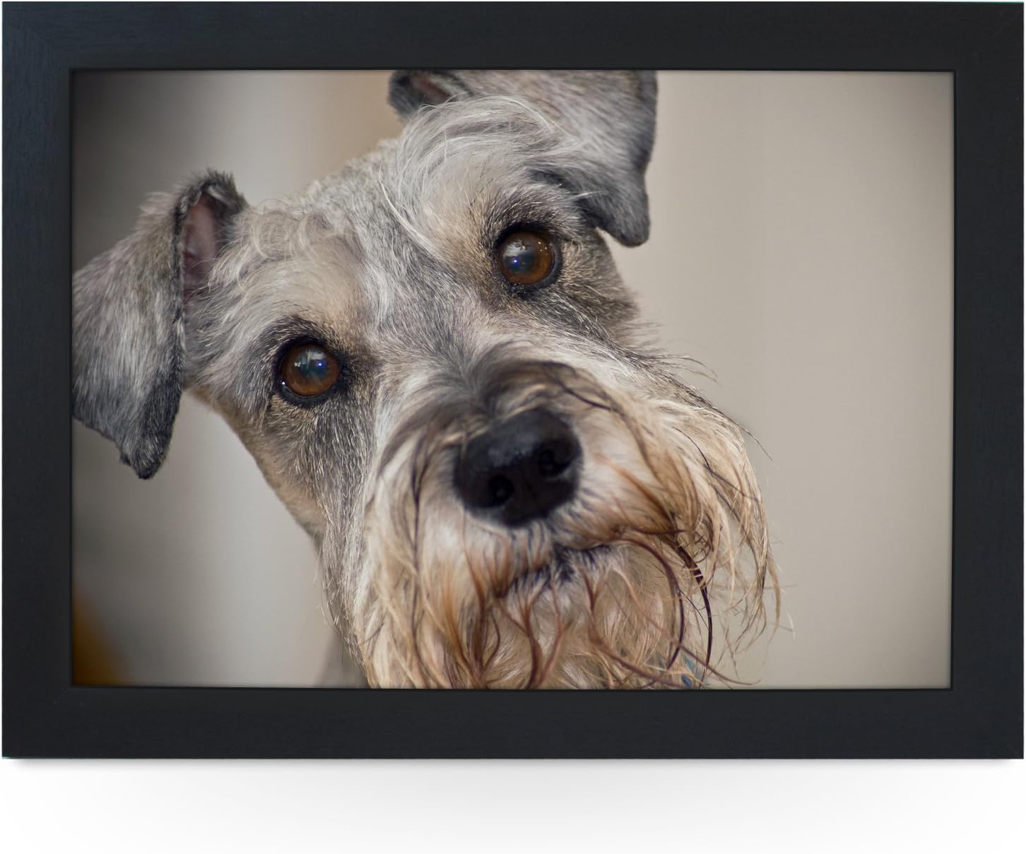Portable Lap Desk Tray (Miniature Schnauzer) Handmade Wooden Frame, Beanbag Cushioned Bottom | Computers, Laptops, Meals, Food | L0061 Black