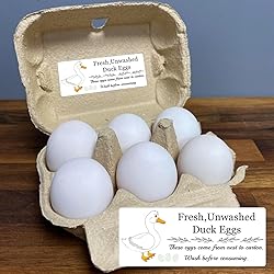 Unwashed Chicken Quail Duck Egg Carton Stickers 1