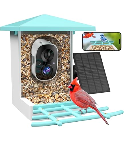 Gyozol Mangeoire Intelligente Pour Oiseaux Avec Caméra, Identifie Les