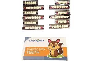Smileheven Acrylic Resin Fake Teeth Synthetic Denture Resin Teeth Complete Teeth 84PCS /Box for Halloween Party Replacement (A3 419 U25 30)