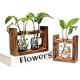2+1 Plant Terrarium Plant Propagation Station Gifts for Father Halloween Skull Home Office Decor with Wooden Stand