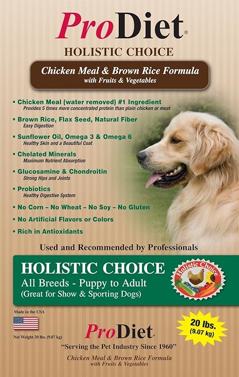 merle american bully