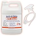 Mite Killer Treatment Spray for Home by Mite-B-Gone — Kills All Types of Mites, Dust, Spider, Rat, Carpet & Bird Mites | Safe for Homes, Furniture & Animals | Non-Toxic | Kid & Pet Friendly | 1 Gal