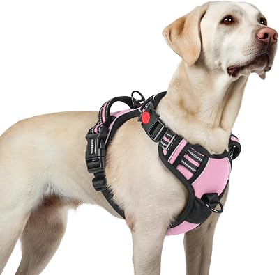 rabbitgoo Dog Harness Large No Pull Front Back Clips Reflective Pink L