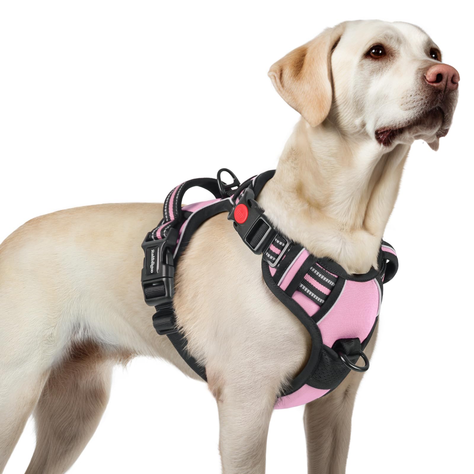 rabbitgoo Dog Harness Large Dog with Neck Release Buckle, No Pull Harness with Front Back Clips, Adjustable Soft Padded with Easy Control Handle, Reflective No-choke Pet Walking Vest, Pink, L