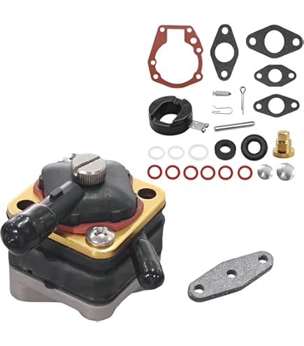 Para El Kit De Carburador Johnson Evinrude 9,9 Hp 15 Hp 74-8 | Meses Sin Interés