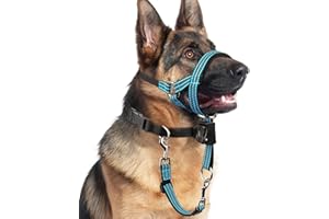 BARKLESS No Pull Dog Head Collar for Gentle Training Walking, Soft Padded Head Halter with Collar Safety Clip, Comfortable Fit Muzzle Leash with Reflective Strap for Medium Large Dog (Blue, L)