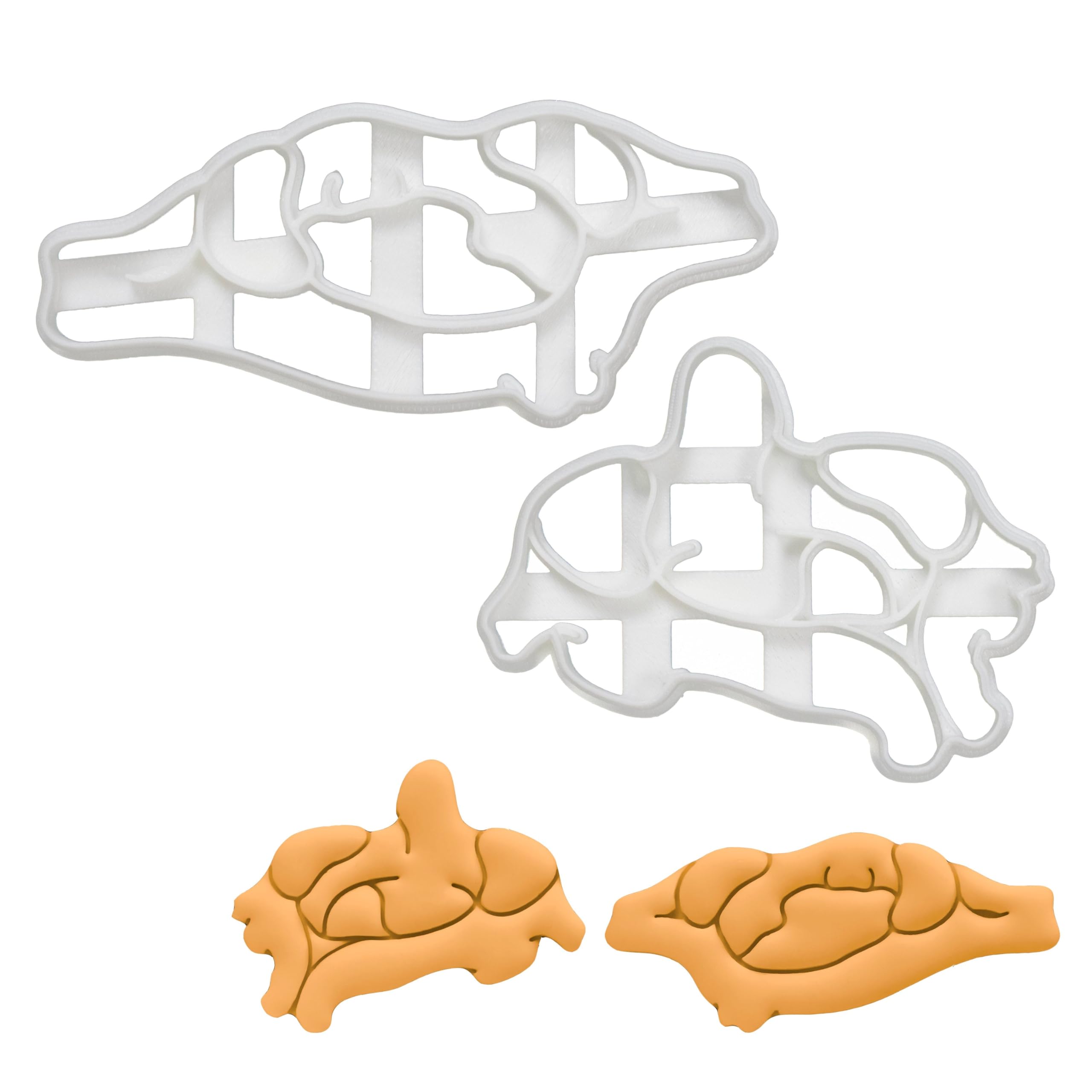 BAKERLOGY Set of 2 Vertebra Cookie Cutters (Designs: Atlas & Axis) - Detailed Biscuit Cutter Design for Baking and Crafts, Ideal on Fondant, Dough, Clay