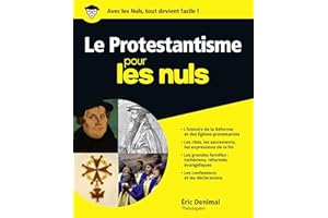 Le protestantisme pour les nuls (French Edition)