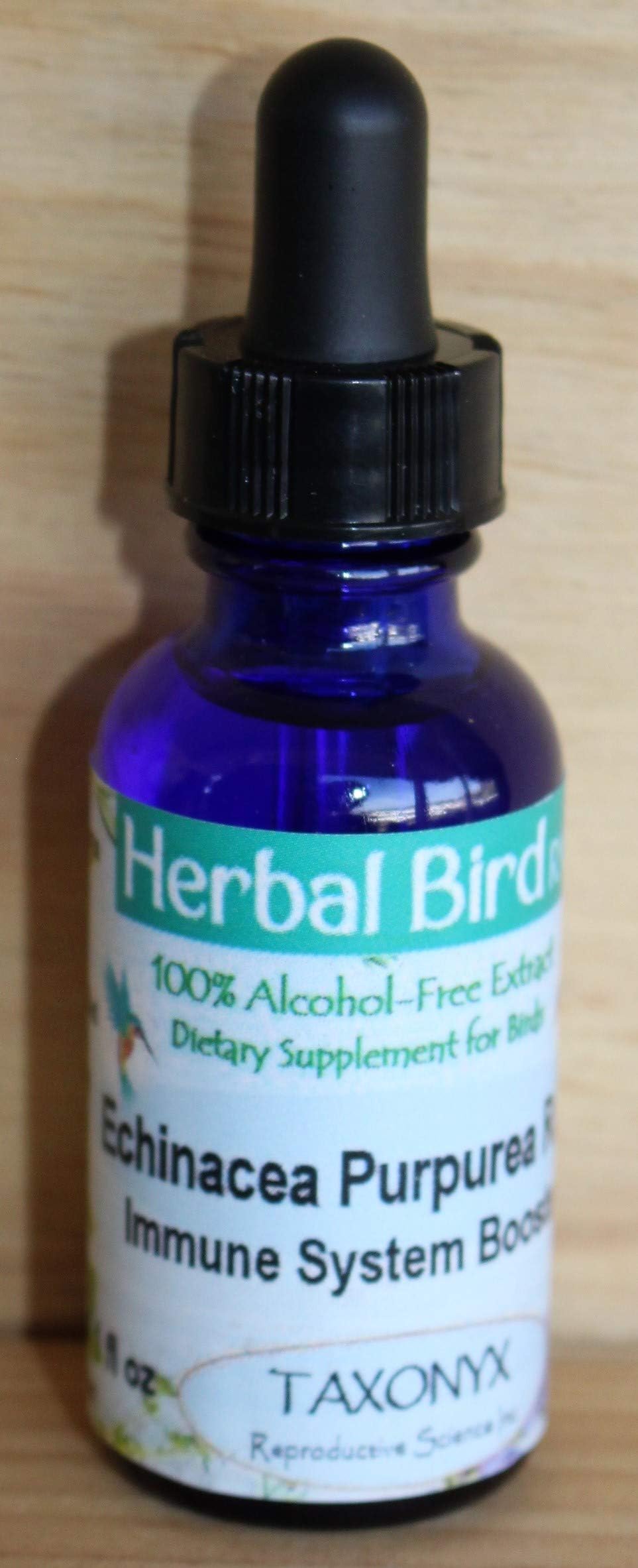 Taxonyx Science Inc Herbal Bird Rx Echinacea Purpurea - Compare to AVITECH