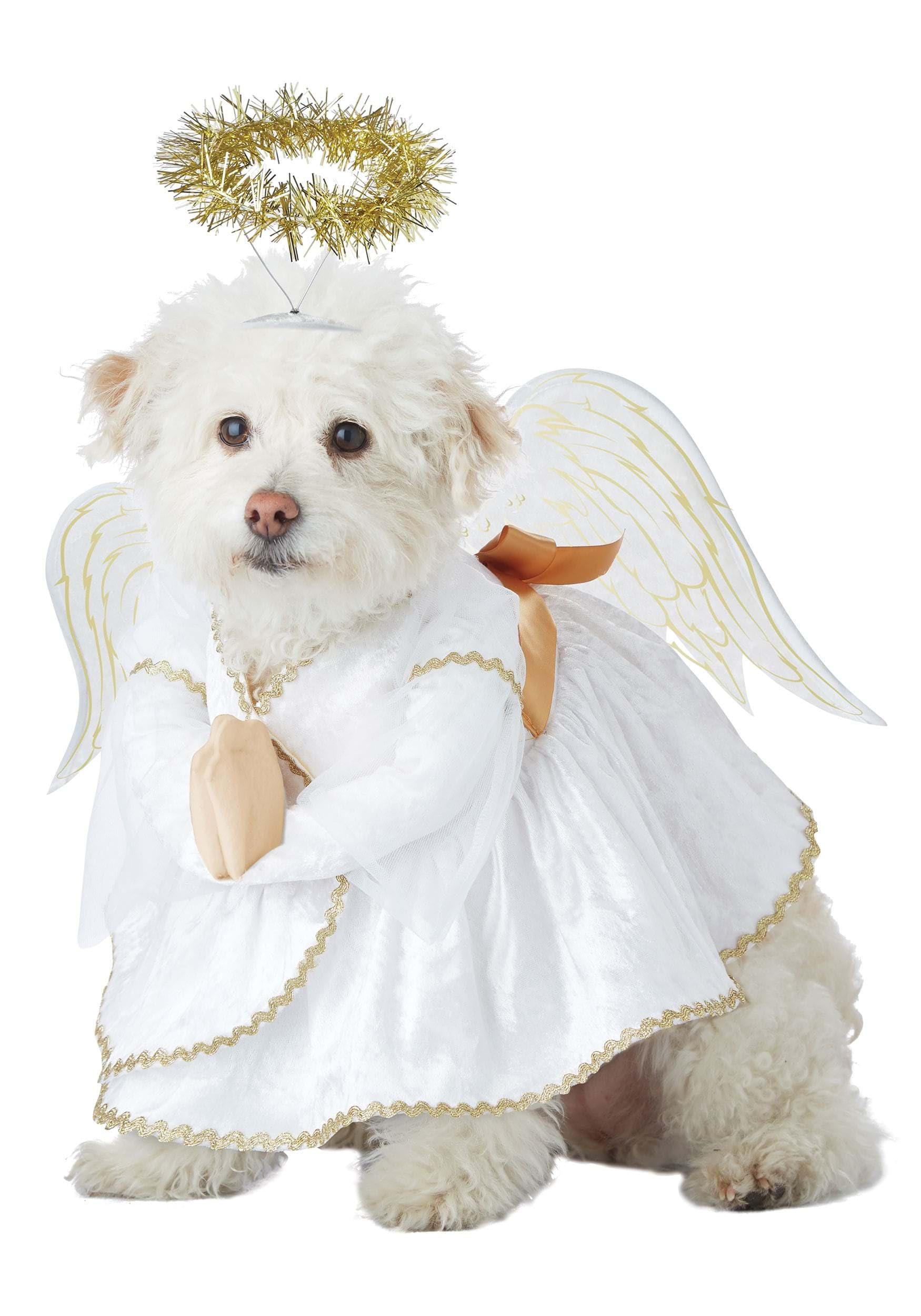 Photo 1 of Heavenly Hound Pet Costume Medium