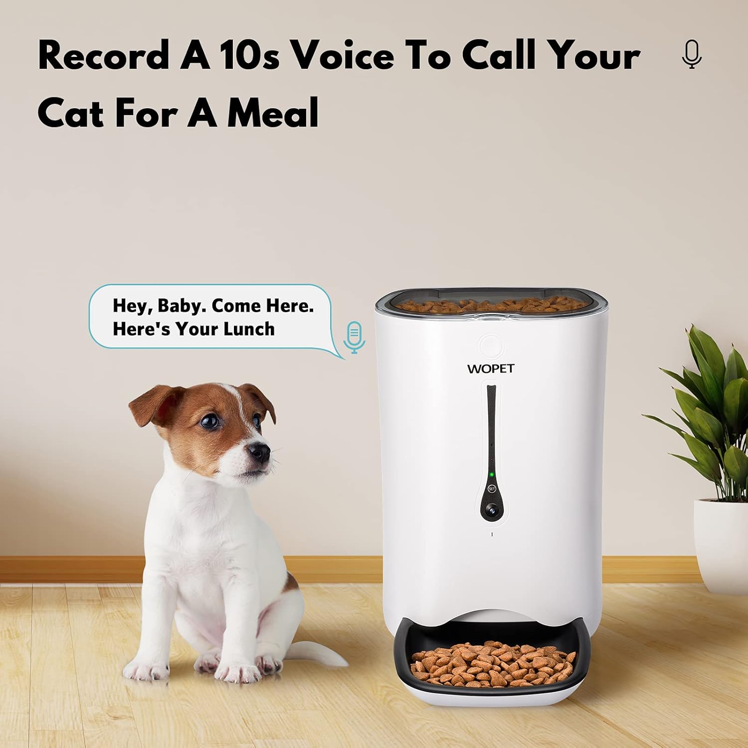Pet Supplies : WOPET Automatic Cat Feeder with Camera, 7L App Control Smart Feeder Cat Dog Food Dispenser, 6-Meal Auto Pet Feeder with Timer Programmable, HD Camera for Voice and Video Recording : 