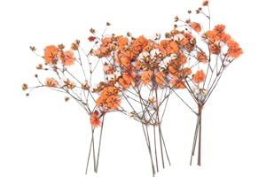 YOUTHBRO 36PCS Orange Dried Pressed Baby's Breath Flowers, Nature Real Dry Pressing Floral for Resin for Scrapbooking DIY Candle Accessories Jewelry Crafts Making