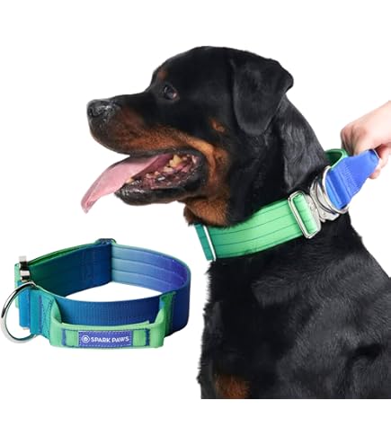Boss Dog Tactical Collar - Red Camo Medium Dog Collar With Handle