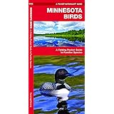 Birds Of Minnesota Field Guide Second Edition Stan