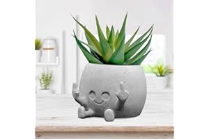 Toparad Smiling Plant Pot with Middle Fingers Up, Face Planter Pot Resin Flower Planters for Indoor Outdoor Plants Succulent Pots for String of Pearls Plant Live Gift Ideas for Mother (White)
