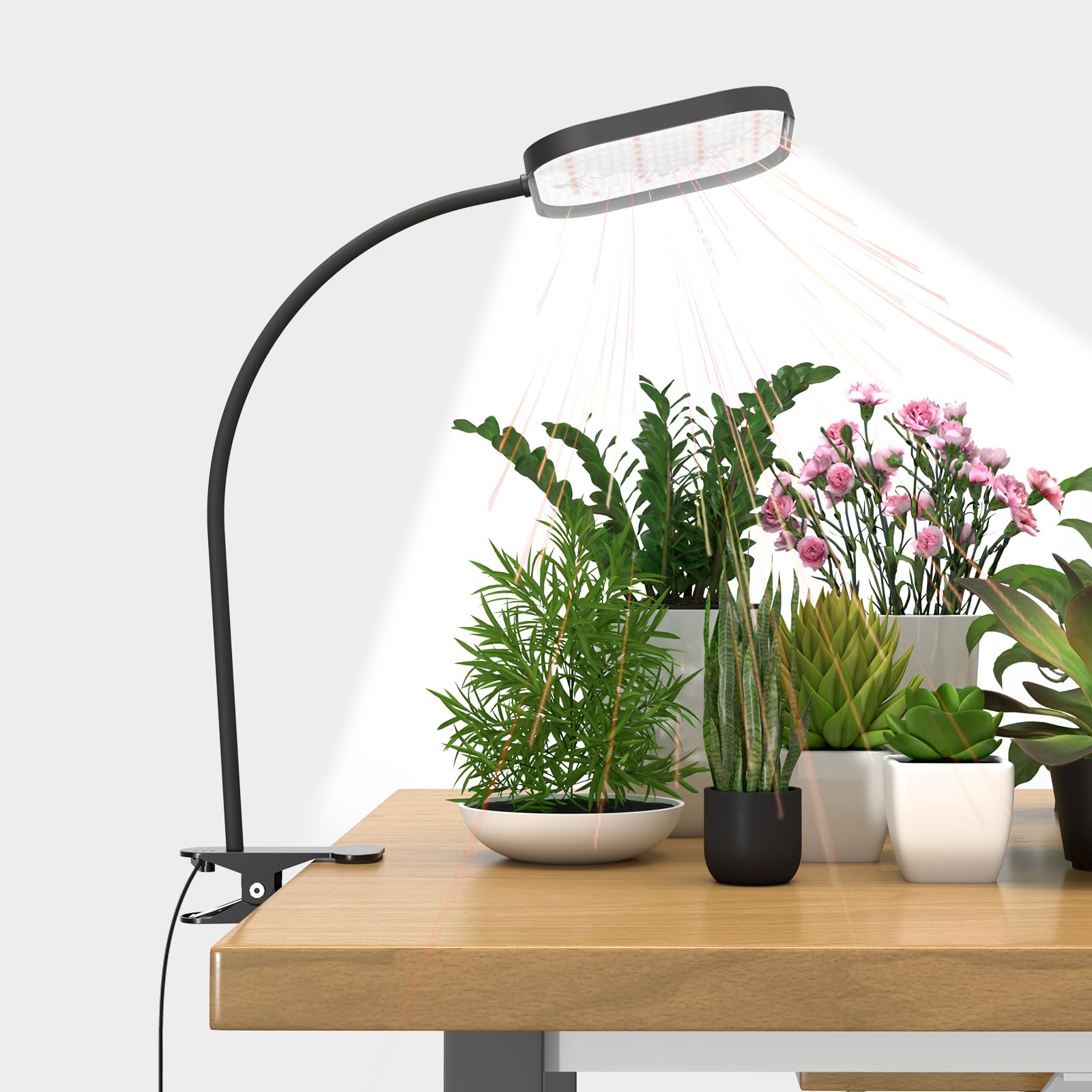 Mojimdo Grow Lights for Indoor Plants, 6000K 336 LEDs Full Spectrum Plant Light, Auto On/Off Timer (4H/8H/12H) & 5 Level Dimmable Brightness, 12V Clip Grow Lamp with Gooseneck for Greenhouse, Home