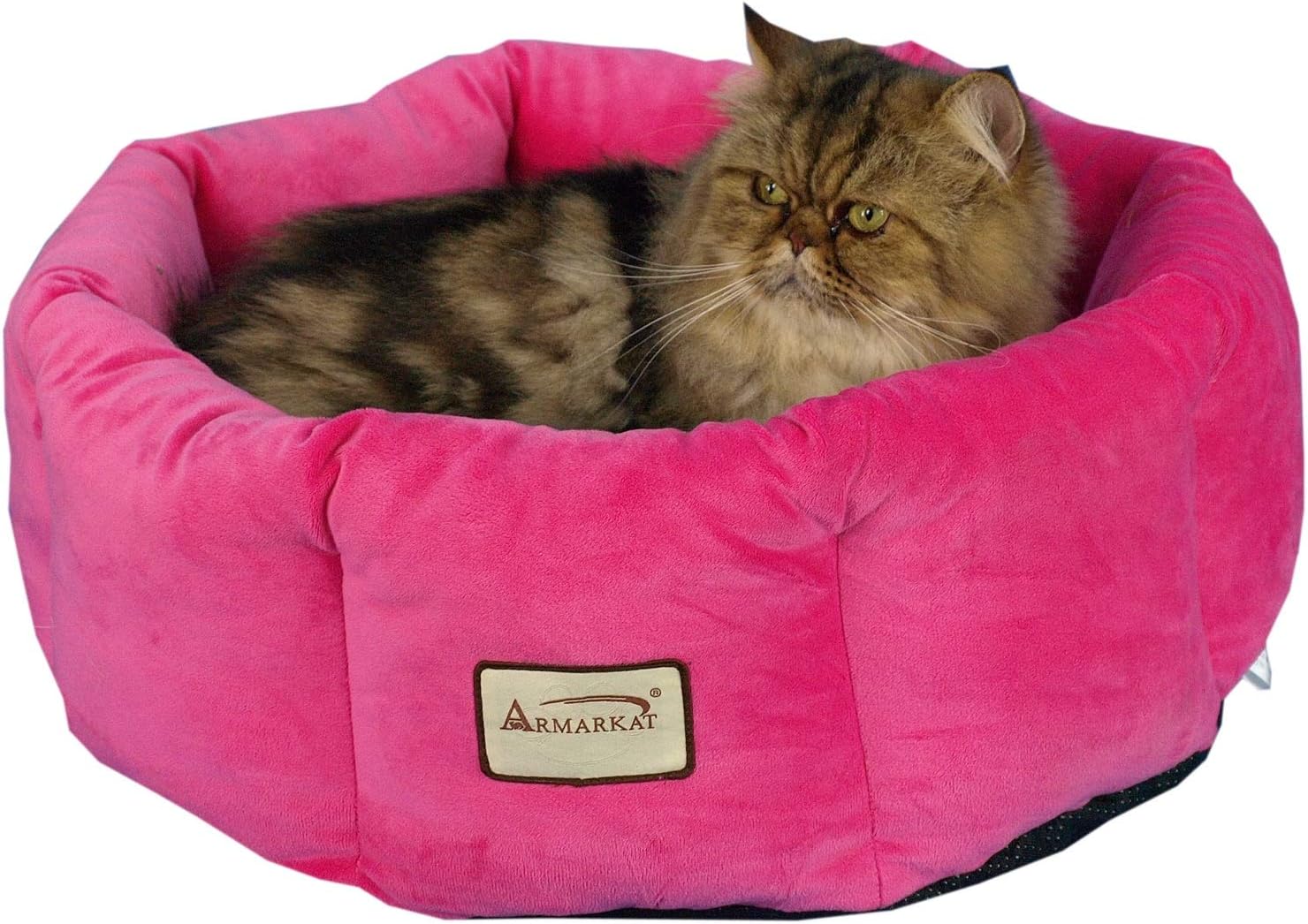 oval cat bed
