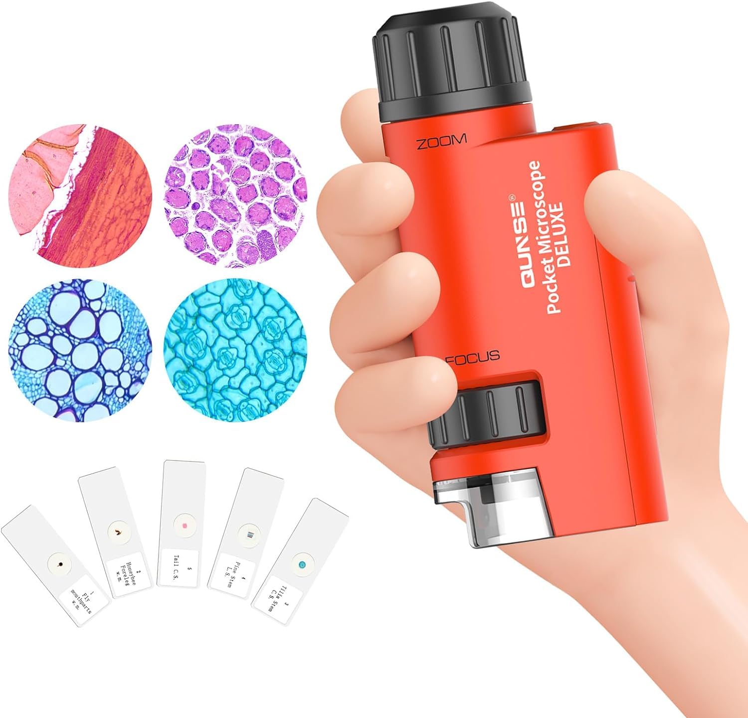 QUNSE Mini Microscope for Kids, 60x-120x Handheld LED Lighted Zoom with 5 Microscope Slides for Students Preschool Home Study Educational Toys