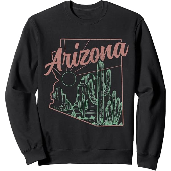 Pull Sweat Vintage Sierra Club Mt. McKinley - Taille L, Fabrication USA, Coton, Occasion Très Bon état