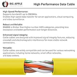 Big-A - 1000ft Cat5e Plenum Ethernet