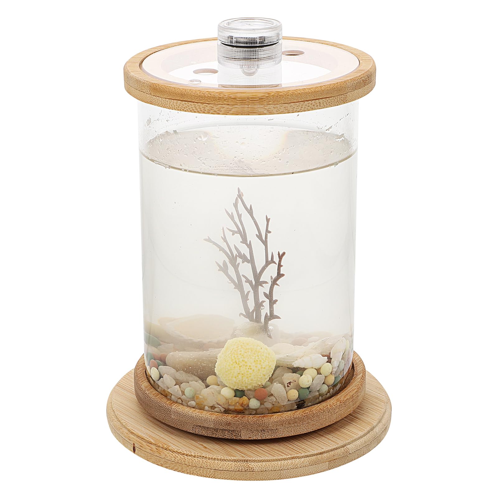 1 Set Desktop Micro View Aquarium Betta Aquarium Fish Tank Desktop Accessories Artificial Succulent in Glass Pot Plants in Clear Glass Pot Clear Container Mini Bamboo Office Vase