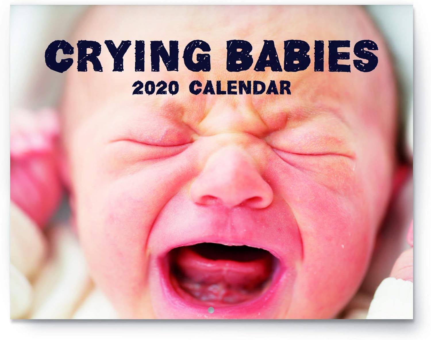 Amazon Com Crying Babies Calendar 2020 Wall Calendar Large